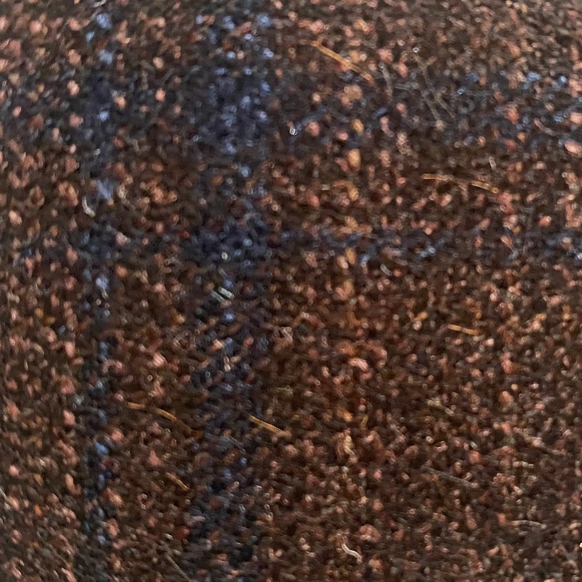 Blazer double breasted - Wool